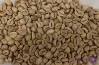 اندونزی Ap1