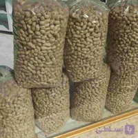 بادام زمینی غلاف شور 50 کیلویی | مغان هوم