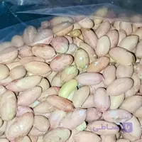 بادام زمینی شور و بوداده پارس آباد یک کیلویی | مغان هوم