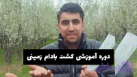 دوره آموزشی کاشت بادام زمینی[فیلم کامل کاشت تا برداشت]