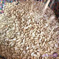 کره بادام زمینی 50 کیلویی | مغان هوم