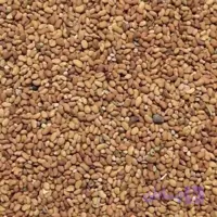 بذر یونجه ۲۰ کیلویی | مغان هوم