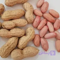 بذر بادام زمینی مغان ۱۰ کیلویی | مغان هوم