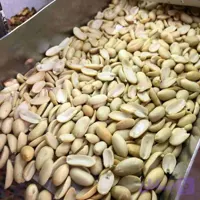 بادام زمینی کره گیری کرمی 10 کیلویی | مغان هوم