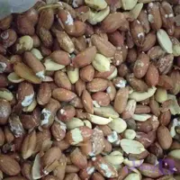 بادام زمینی کره گیری پوست گیری نشده 10 کیلویی | مغان هوم