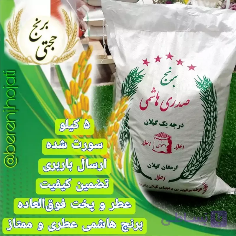 برنج صدری هاشمی ممتاز معطر سورتینگ شده – 5 کیلوگرم – ارسال رایگان