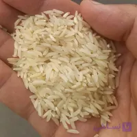 برنج هاشمی دودی هیزمی معطر فوق ممتاز (5 کیلویی) ارسال رایگان