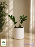گلدان استوانه‌ای مدرن سایز ۱۰ (4 رنگ بندی)