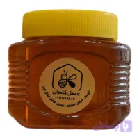 عسل شیرتیزه – 1 کیلوگرم