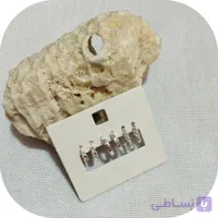 گوشواره نیم حلقه و حلقه ای ساده و نگیندار برند اروپایی