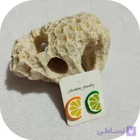 گوشواره میخی طرح میوه در ۵ طرح