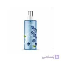 بادی میست فارماسی مدل Wild Berries حجم 225 میل