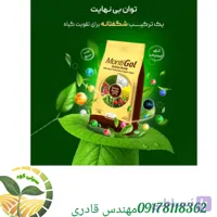 کود آمینو اسید مونتی گل گرونبرگ آلمان 1کیلویی