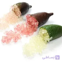2 عدد بذر لیمو خاویاری  –  Finger Lime