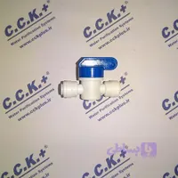 شیر بین راهی