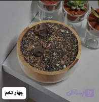 چهارتخمه/100 گرمی