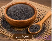 تخم شربتی درشت/100 گرمی