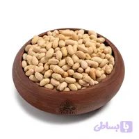 سویا آجیلی