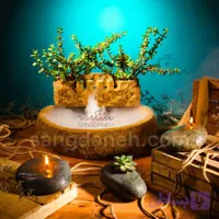 آبنما سنگی سنگدانه کد AB125 همراه با گیاه خرفه ای و مه ساز