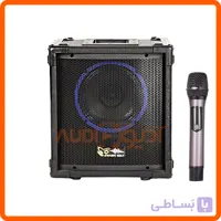اکو همراه 8 اینچ با میکروفن بی سیم برین B1880USB