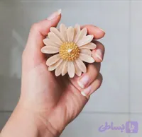 گیفت گل مارگاریت30 عددی