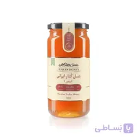 عسل ارگانیک کنار هاکان (600 گرم)