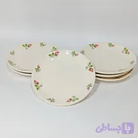 پیش دستی سرامیکی 6 تایی بهار نقش