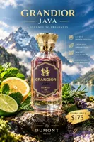 عطر ادکلن دمونت پاریس سرجیو والانتی گرندیور جاوا | Dumont Paris Sergio Vallanti Grandior Java