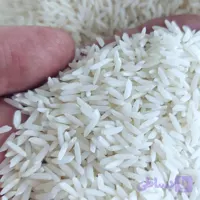 برنج طارم هاشمی 20 کیلویی