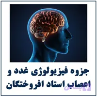 جزوه فیزیولوژی غدد و اعصاب استاد افروختگان