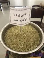 عدس زود پز ارگانیک نمین در بسته بندی 1 کیلویی