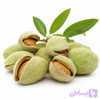بادام تازه با پوست سبز یک کیلوگرم