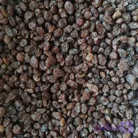 کشمش پلویی شسته شده
