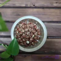 پیاله لبه دار سنگی کرم ۱۲Cm