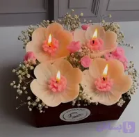 قالب شقایق