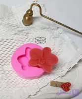 قالب ارکیده