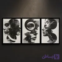 تابلو بوم غوطه ور در سیاه و سفید