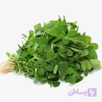 بذر شنبلیله پاکوتاه