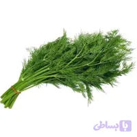 بذر شوید اصفهان