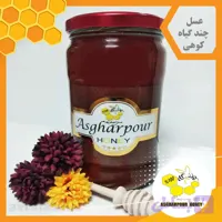 عسل چند گیاه کوهی خالص
