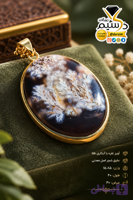 آویز نقره با آبکاری طلا و عقیق شجر اصل | دُرسیم