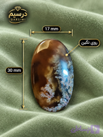 نگین عقیق شجر عسلی