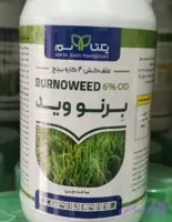برنووید