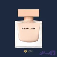نارسیس رودریگز پودری (کد T5N1S)