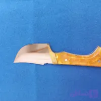تیزی پارسا