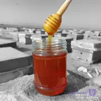 عسل کنار صاف شده – ارگانیک