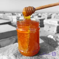 عسل آویشن موم دار – ارگانیک