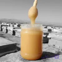 عسل رویال تقویتی ارگانیک – 100 گرمی