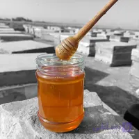 عسل بهارنارنج صاف شده – ارگانیک