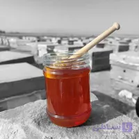 عسل گشنیز صاف شده – ارگانیک